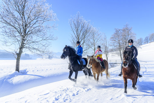 Wanderreiten in frisch verschneiter Landschaft