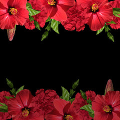Beautiful floral background with hibiscus and carnations 