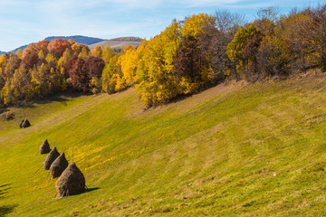 Colorful autumn landscape
