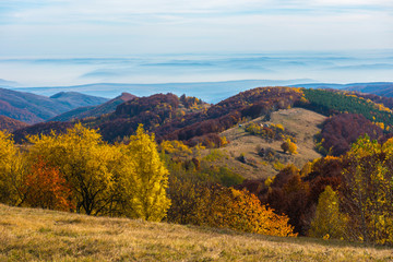 Autumn scene in the mountains
