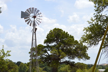 Fototapeta premium WindMill
