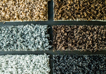 Samples of a multi-colored carpet