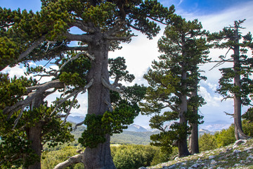 Fototapeta premium Garden of gods