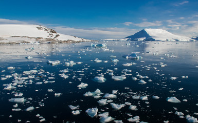 A Bright, Sunny Day Off the Coast of Antarctica