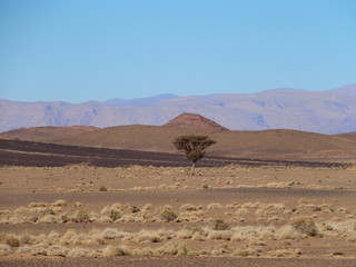 Fototapeta na wymiar Sandy desert at high ATLAS MOUNTAINS range landscape in MOROCCO