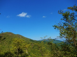 鍋割山山頂からの景色