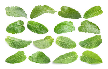 Set with fresh green mint leaves on white background