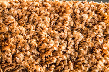 Samples of a multi-colored carpet, an example of pile and carpet color