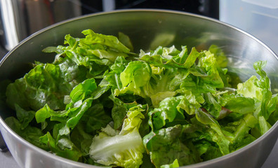 green salad in a stainless steel bowl