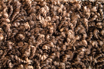 Samples of a multi-colored carpet, an example of pile and carpet color