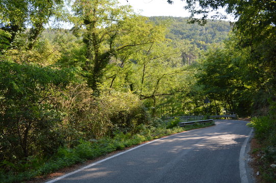 natura