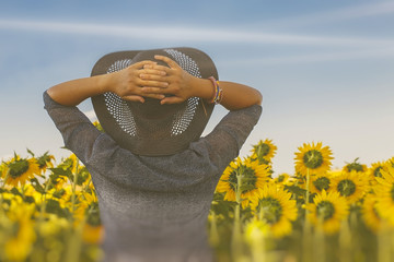 between the sunflowers