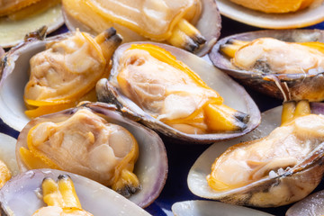 Piatto in ceramica con vongole veraci  aperte sulla valva 