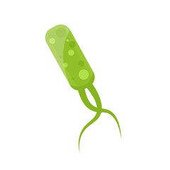 Helicobacter Pylori icon