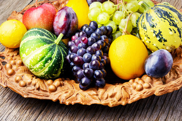 Beautiful autumn harvest