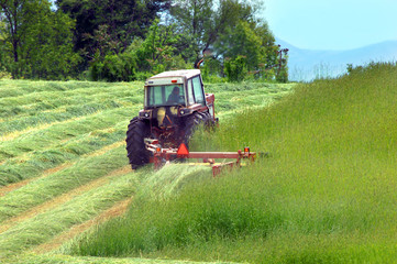 Cutting Hay in Tennessee