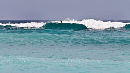 Fototapeta premium 1