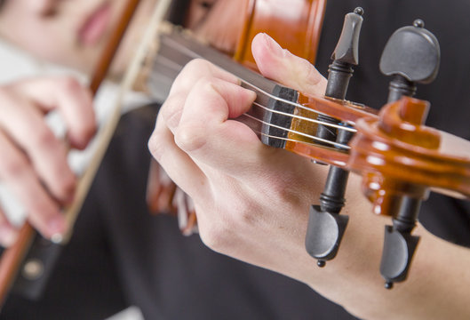 the musician plays the violin