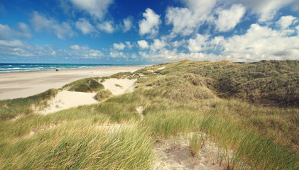 Blick über die hohen Dünen