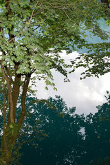 Reflection of tree branches in blue lake