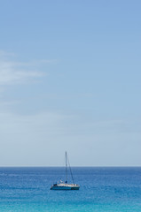 Fototapeta premium ocean view. catamaran in the ocean