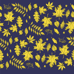 Fototapeta na wymiar autumn leaf pattern