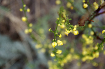 Nature's Simple Wonders