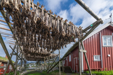 Lofoten Fischerdorf #15