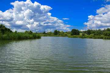 A beautiful image of landscape from the center of the river, surrounded by trees and reeds on the shore and distant horizon against the blue sky in clouds. Reflection, water, tourist destination