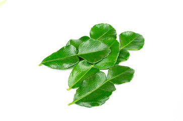 Bergamot leaf isolated on a white background