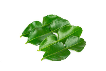 Bergamot leaves isolated on a white background