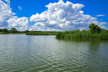 Obraz na płótnie Canvas A beautiful image of landscape from the center of the river, surrounded by trees and reeds on the shore and distant horizon against the blue sky in clouds. Reflection, water, tourist destination