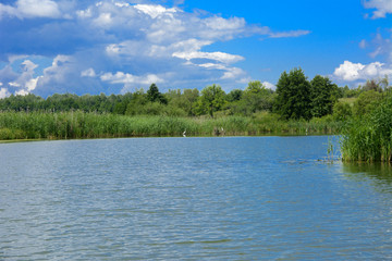 A beautiful image of landscape from the center of the river, surrounded by trees and reeds on the shore and distant horizon against the blue sky in clouds. Reflection, water, tourist destination