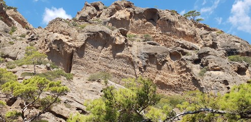 Felswand in der Schmetterlingsschlucht