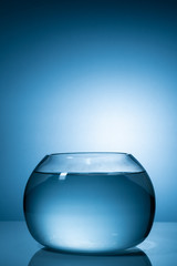 A filled water fish bowl with white background.