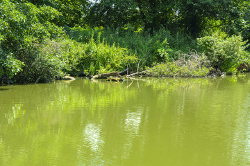 A beautiful image of landscape from the center of the river, surrounded by trees and reeds on the shore and distant horizon against the blue sky in clouds. Reflection, water, tourist destination