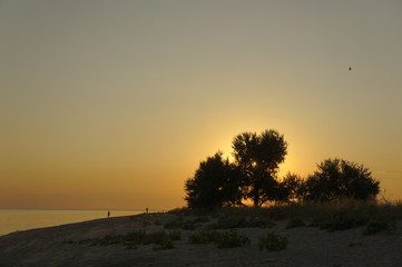 Sunset and buch 