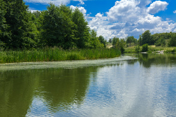 Fototapeta premium A beautiful image of landscape from the center of the river, surrounded by trees and reeds on the shore and distant horizon against the blue sky in clouds. Reflection, water, tourist destination