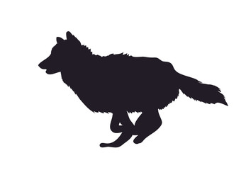 wolf runs, image silhouette, vector