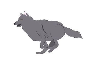 wolf runs, image color, vector