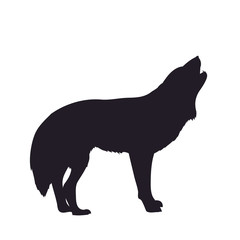 Fototapeta premium wolf howls, image silhouette, vector