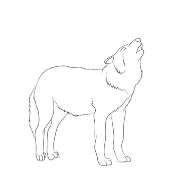 wolf howls, image lines, vector