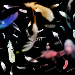 Abstract pattern of falling feathers on a black background.