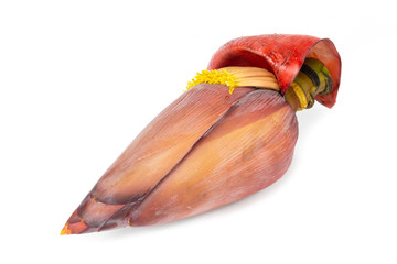 Banana blossom isolated on white background.