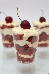 Triffle with berry