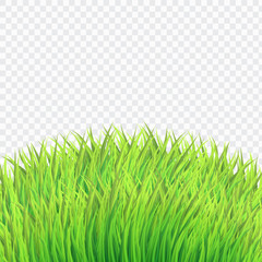 Fresh Green Bush Grass,Realistic Style on White Isolated background,vector,illustration.