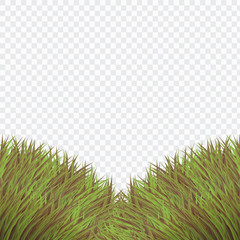 Vintage Green Bush Grass Template,Realistic Style on White Isolated background,Free Space for object,vector,illustration.