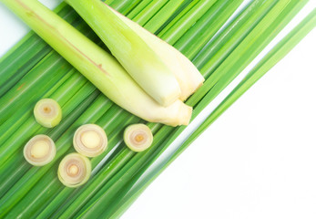 Lemon grass and leave on white background