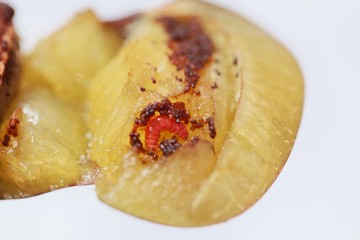 Larvae of a plum fruit moth (Grapholita funebrana) in a plum fruit