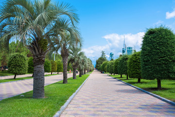 Fototapeta premium Batumi, Georgia - August 06, 2018:The Batumi park in sunny summer day.